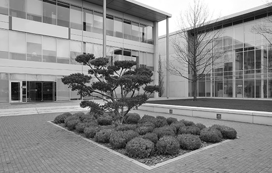 lg head office slough